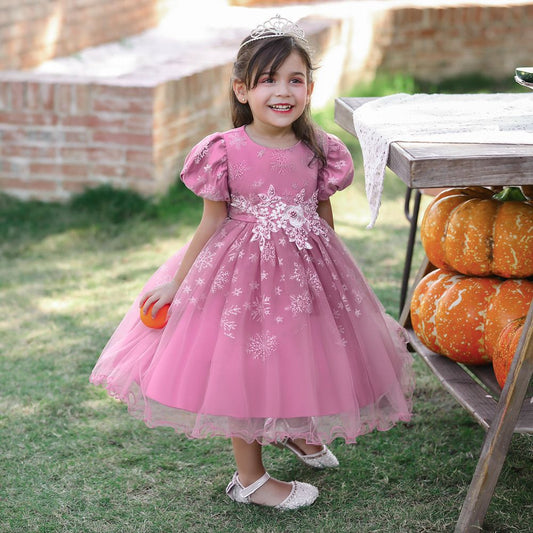 Baby Girls Embroidery Snow-Flake Knee Length Flower Partywear Pink Frock